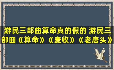 游民三部曲算命真的假的 游民三部曲《算命》《麦收》《老唐头》